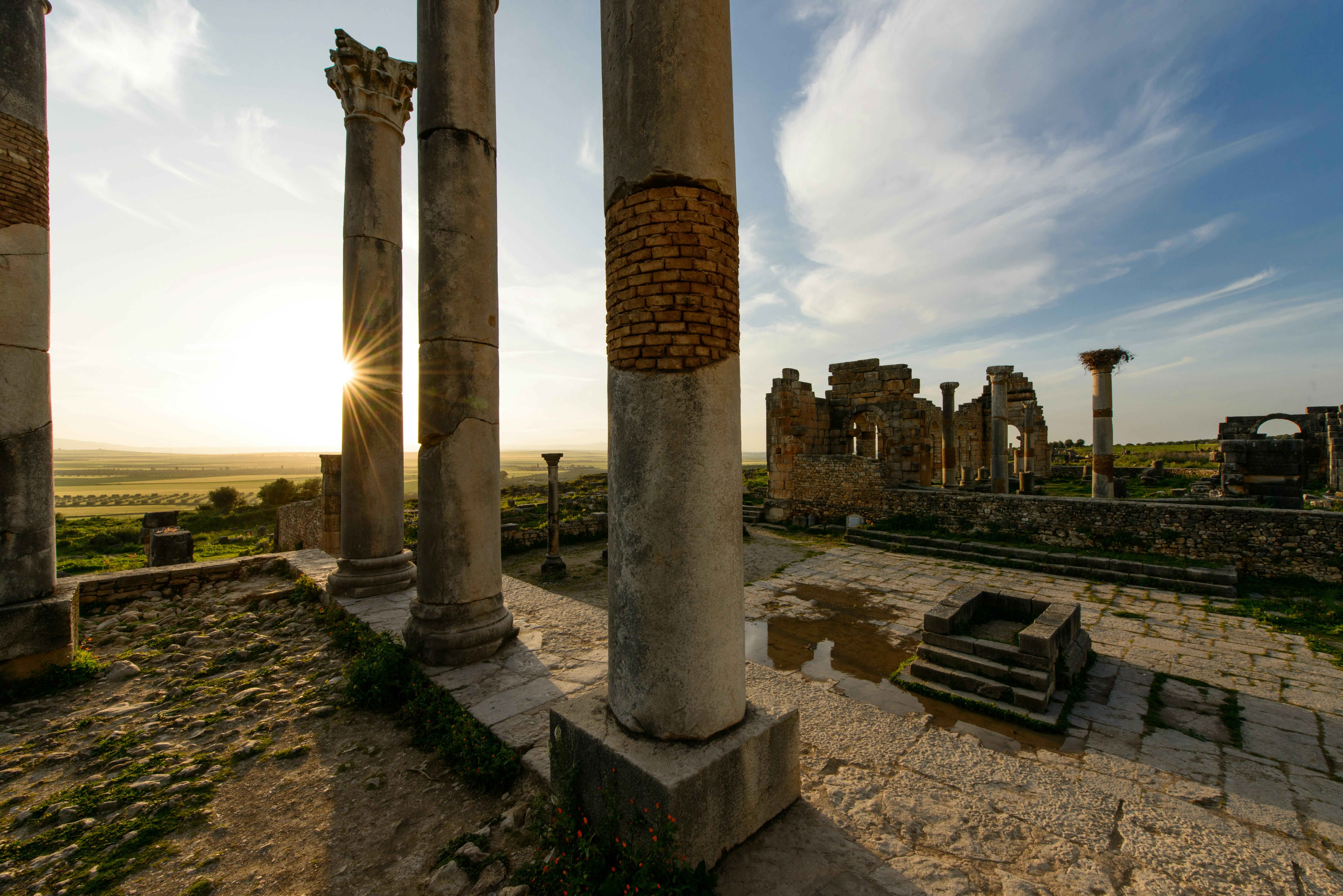 Rovine romane di Volubilis